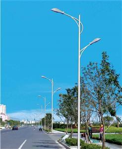 广西南宁的3米4米庭院灯工厂直销排行榜